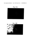 Encapsulation of Bioactive Complexes in Liposomes diagram and image