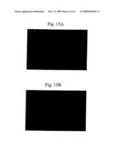 Encapsulation of Bioactive Complexes in Liposomes diagram and image