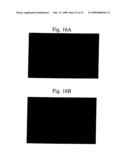 Encapsulation of Bioactive Complexes in Liposomes diagram and image