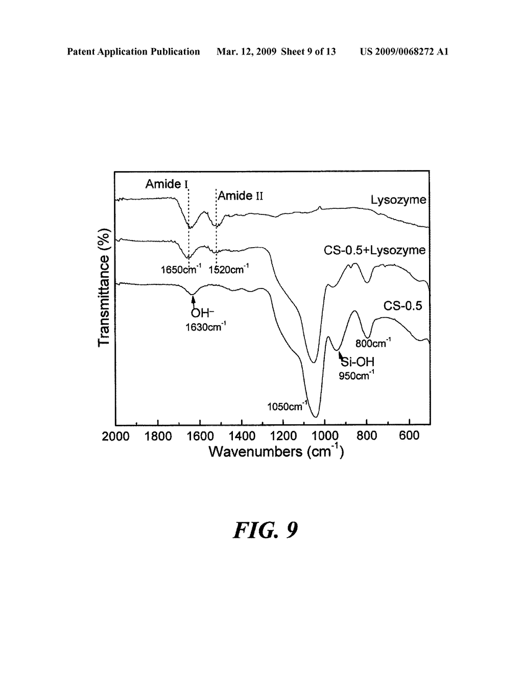 MESOPOROUS CALCIUM SILICATE COMPOSITIONS AND METHODS FOR SYNTHESIS OF MESOPOROUS CALCIUM SILICATE FOR CONTROLLED RELEASE OF BIOACTIVE AGENTS - diagram, schematic, and image 10