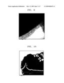 GRAPHENE SHELL AND PROCESS OF PREPARING THE SAME diagram and image