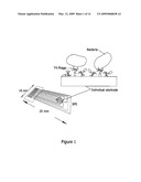 PHAGE-BASED METHOD FOR THE DETECTION OF BACTERIA diagram and image