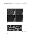 PHAGE-BASED METHOD FOR THE DETECTION OF BACTERIA diagram and image