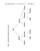 Highly conserved genes and their use to generate probes and primers for detection of microorganisms diagram and image