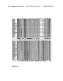 Highly conserved genes and their use to generate probes and primers for detection of microorganisms diagram and image