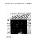 Highly conserved genes and their use to generate probes and primers for detection of microorganisms diagram and image