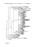 Highly conserved genes and their use to generate probes and primers for detection of microorganisms diagram and image