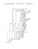 Highly conserved genes and their use to generate probes and primers for detection of microorganisms diagram and image