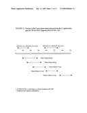 Highly conserved genes and their use to generate probes and primers for detection of microorganisms diagram and image