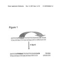 Labeling and Sequencing of Nucleic Acids diagram and image