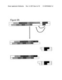 Labeling and Sequencing of Nucleic Acids diagram and image