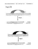 Labeling and Sequencing of Nucleic Acids diagram and image