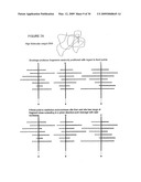 Labeling and Sequencing of Nucleic Acids diagram and image