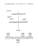 Labeling and Sequencing of Nucleic Acids diagram and image