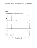 Labeling and Sequencing of Nucleic Acids diagram and image