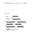 Labeling and Sequencing of Nucleic Acids diagram and image