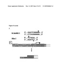 Labeling and Sequencing of Nucleic Acids diagram and image