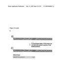 Labeling and Sequencing of Nucleic Acids diagram and image