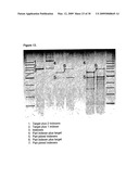 Labeling and Sequencing of Nucleic Acids diagram and image