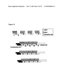 Labeling and Sequencing of Nucleic Acids diagram and image