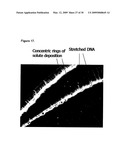 Labeling and Sequencing of Nucleic Acids diagram and image