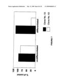 ASSAY FOR IDENTIFYING COMPOUNDS WHICH AFFECT STABILITY OF MRNA diagram and image