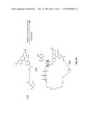 COMPOSITION AND METHOD FOR NUCLEIC ACID SEQUENCING diagram and image