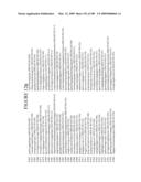 AMPLIFICATION METHODS AND COMPOSITIONS diagram and image