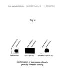 METHOD FOR PRODUCING A MUCIN-TYPE GLYCOPROTEIN diagram and image