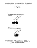 METHOD FOR PRODUCING A MUCIN-TYPE GLYCOPROTEIN diagram and image