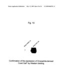 METHOD FOR PRODUCING A MUCIN-TYPE GLYCOPROTEIN diagram and image