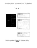 METHOD FOR PRODUCING A MUCIN-TYPE GLYCOPROTEIN diagram and image