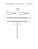 Method for molecular cloning and polynucleotide synthesis using vaccinia DNA topoisomerase diagram and image