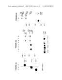 Method for molecular cloning and polynucleotide synthesis using vaccinia DNA topoisomerase diagram and image