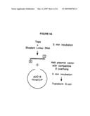 Method for molecular cloning and polynucleotide synthesis using vaccinia DNA topoisomerase diagram and image