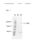 AMINO ACID PRODUCING MICROORGANISM AND A METHOD FOR PRODUCING AN AMINO ACID diagram and image