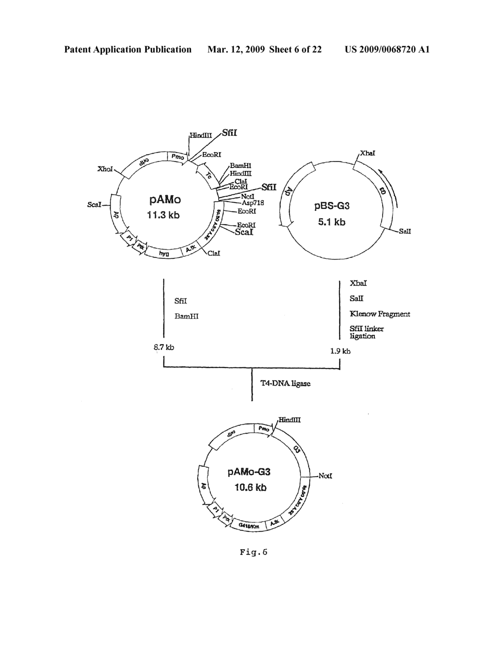 USEFUL POLYPEPTIDES - diagram, schematic, and image 07