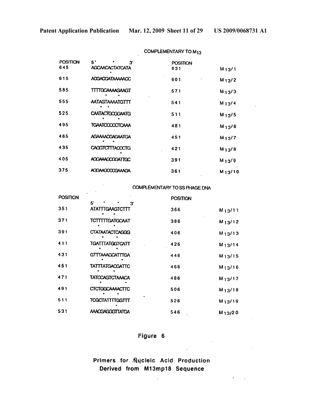 Novel process, construct and conjugate for producing multiple nucleic acid copies - diagram, schematic, and image 12