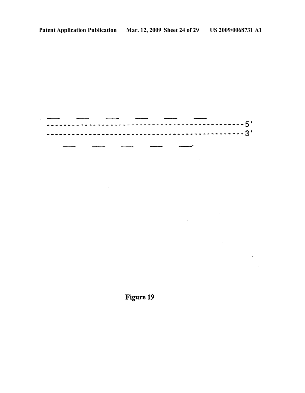 Novel process, construct and conjugate for producing multiple nucleic acid copies - diagram, schematic, and image 25