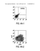 METHODS OF ISOLATING BIPOTENT HEPATIC PROGENITOR CELLS diagram and image
