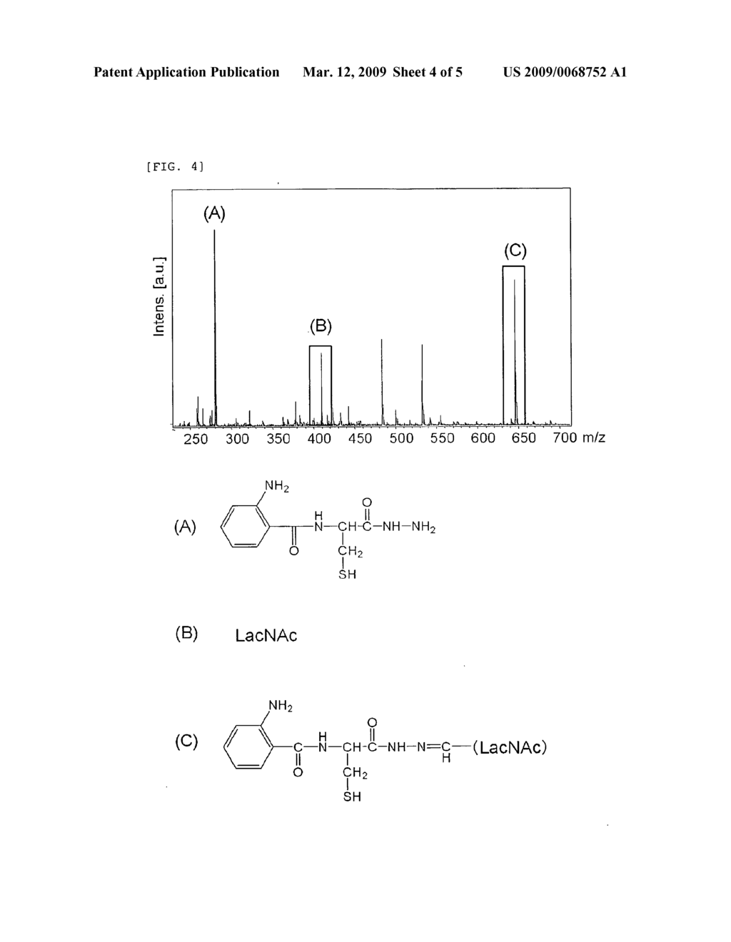 Method for Preparing Analysis Sample, Analysis Sample and Sugar Chain Capture Agent - diagram, schematic, and image 05