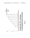 NOVEL GLYPHOSATE-N-ACETYLTRANSFERASE (GAT) GENES diagram and image