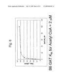 NOVEL GLYPHOSATE-N-ACETYLTRANSFERASE (GAT) GENES diagram and image