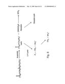 NOVEL GLYPHOSATE-N-ACETYLTRANSFERASE (GAT) GENES diagram and image