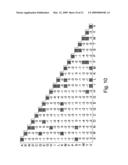 NOVEL GLYPHOSATE-N-ACETYLTRANSFERASE (GAT) GENES diagram and image