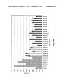 NOVEL GLYPHOSATE-N-ACETYLTRANSFERASE (GAT) GENES diagram and image