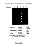 Biomolecular Attachment Sites on Microelectronic Arrays and Methods Thereof diagram and image