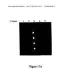 Biomolecular Attachment Sites on Microelectronic Arrays and Methods Thereof diagram and image