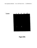 Biomolecular Attachment Sites on Microelectronic Arrays and Methods Thereof diagram and image