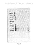 METHOD OF CULTURING UNICELLULAR ORGANISMS diagram and image